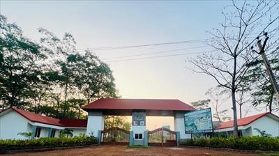 Farm House for sale in Zaheerabad, Ranga Reddy