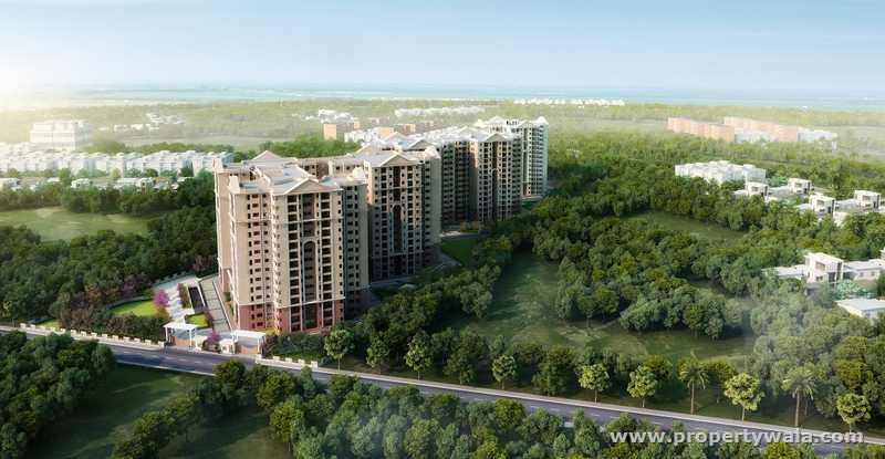 Project - Aerial View
