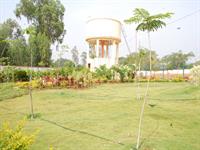 Plot View-B