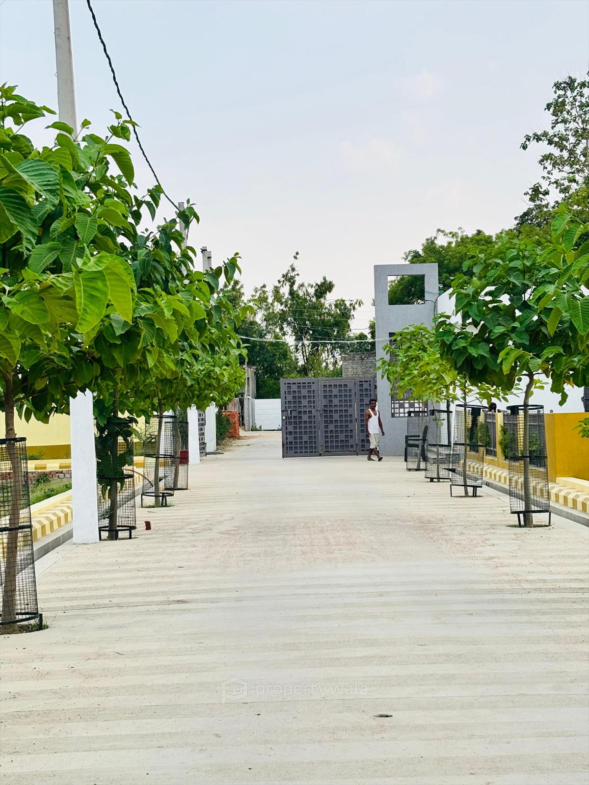 Front View