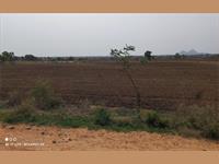 Agri Land for sale in Chinna Chintha Kunta, Mahbubnagar