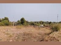 3 Bigha Agriculture land for sale At Chandesara