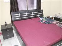 Furnished Apartment in Lic colony