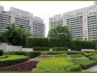 5 BHK Penthouse Residential Duplex Apartment for Sale in The Magnolias DLF Golf Course Road Gurgaon