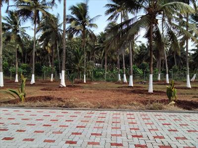 Agricultural Land for sale in Kinathukadavu, Coimbatore