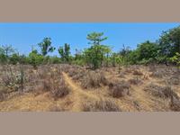 36 Guntha Land For sale In Shriwardhan