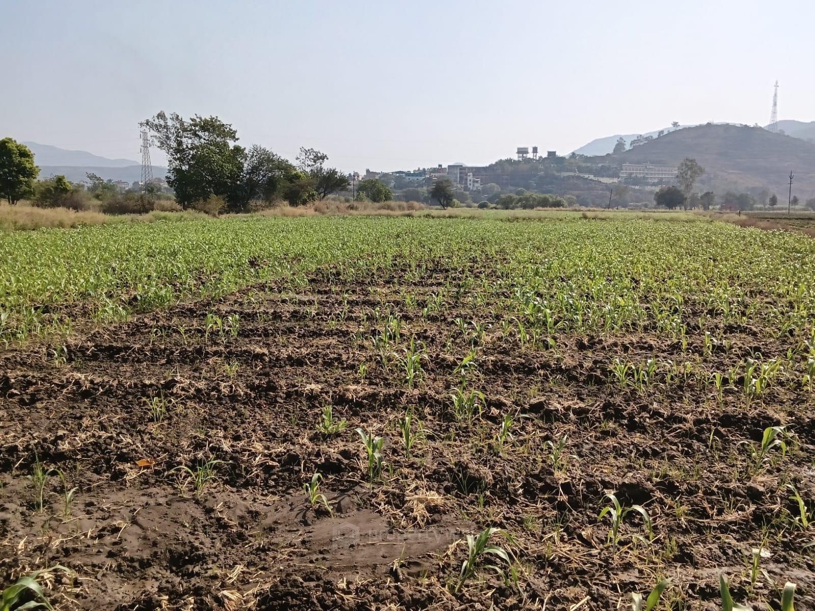 plot view