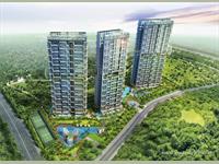 Provident Rising City