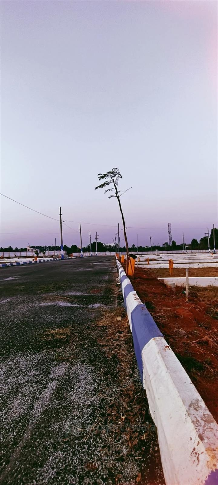 Plot Photos