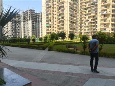 3BHK for rent in Amrapali La Residentia, Tech Zone 4, Greater Noida