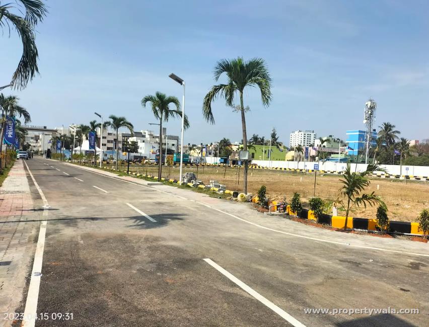 Plot View