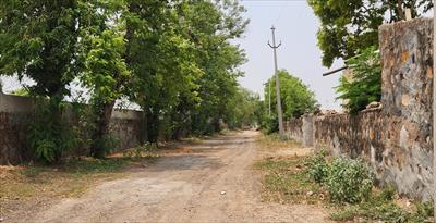 1 Bedroom Farm House for sale in Khori Jamalpur, Faridabad