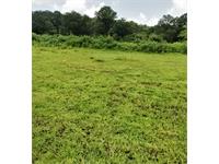 Agricultural Plot / Land for sale in Mandangad, Ratnagiri