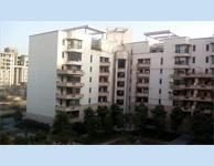 3 Bedroom Flat for sale in ITC Laburnum, Sushant Lok, Gurgaon