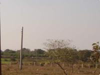 Land for sale in Mahalaxmi Pinnacle, Wardha Road area, Nagpur