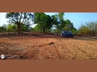 Agricultural Plot / Land for sale in Tala, Raigad
