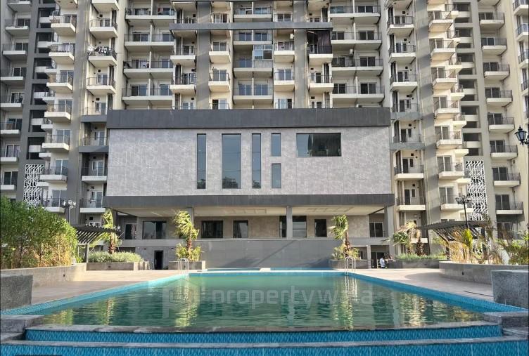 Front View