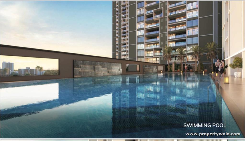 Project - Swimming Pool