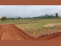 Low cost open plots very near to vijayawada
