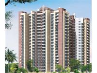 3 Bhk Flat in Noida Extention