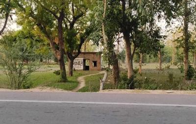 Agricultural Land for sale in Salon, Rae Bareli