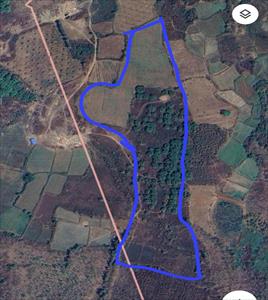 Agricultural Land for sale in Salur, Vizianagaram