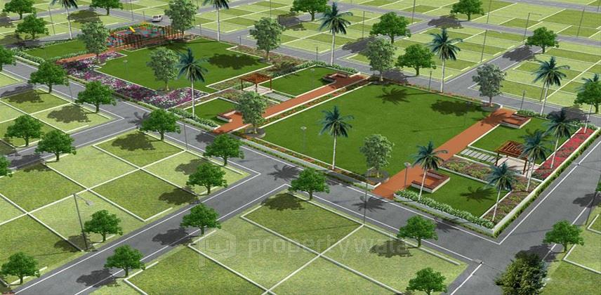 Plot View