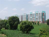 Panormic View