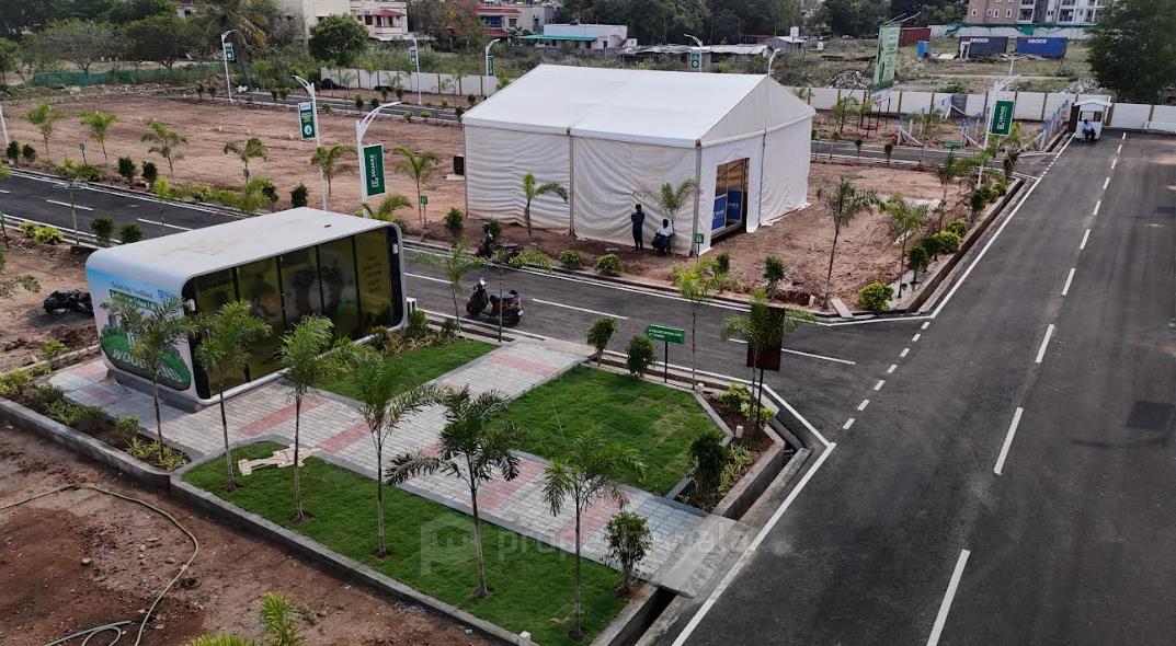 Plot View