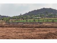 3 Acre_ 8 GUNTA_ RED SOIL PROPERTY FOR SALE FOR SALE