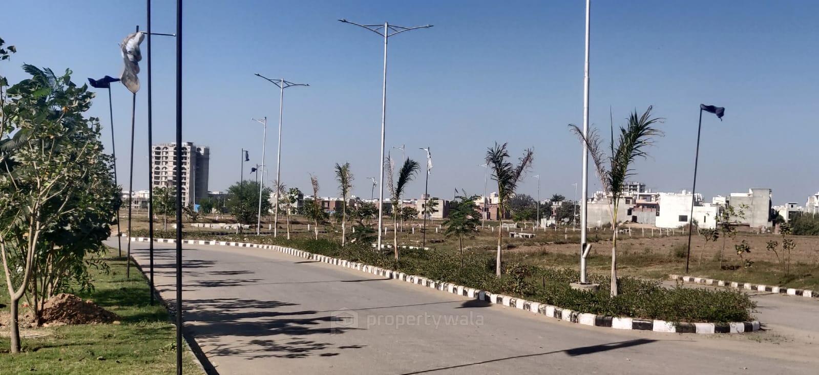 Actual Site Pictures