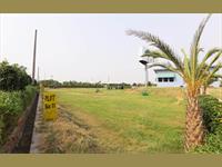 Land for sale in Yamuna Expressway, Greater Noida