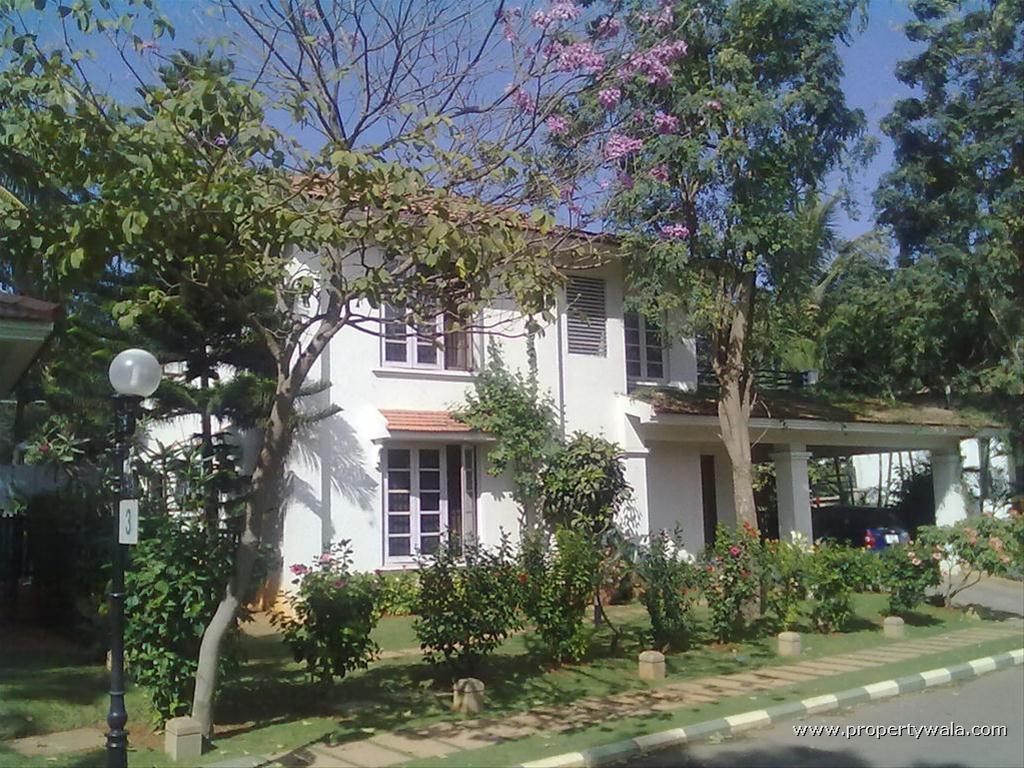 Side View-1