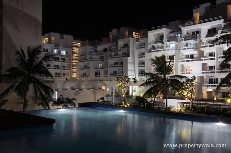 Night View