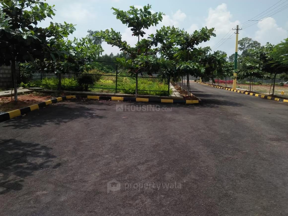 plots view