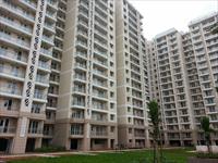 3 Bedroom Flat for rent in DLF Commanders Court, Egmore, Chennai