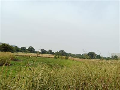 Land for sale in Panvel-Matheran Road area, Navi Mumbai