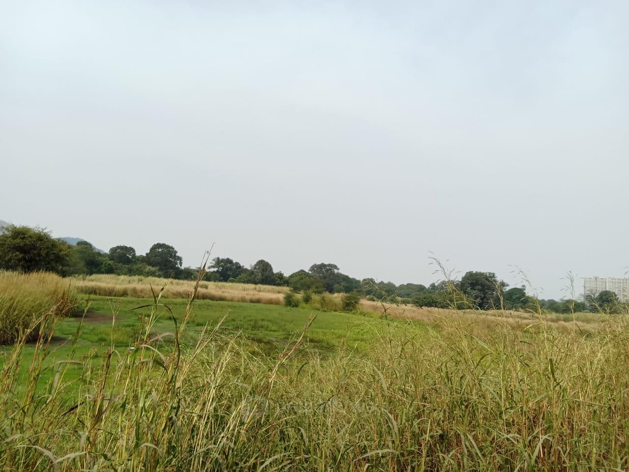 Panvel Plot For Sale