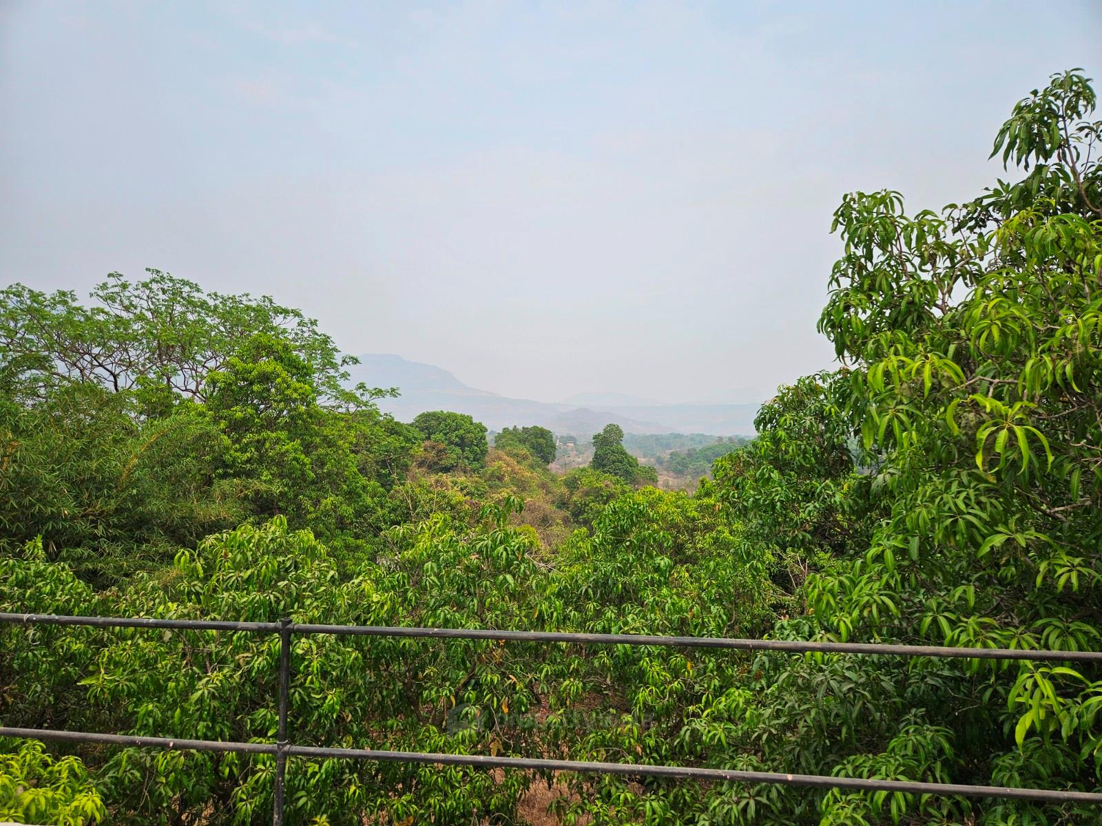 View from Terrace