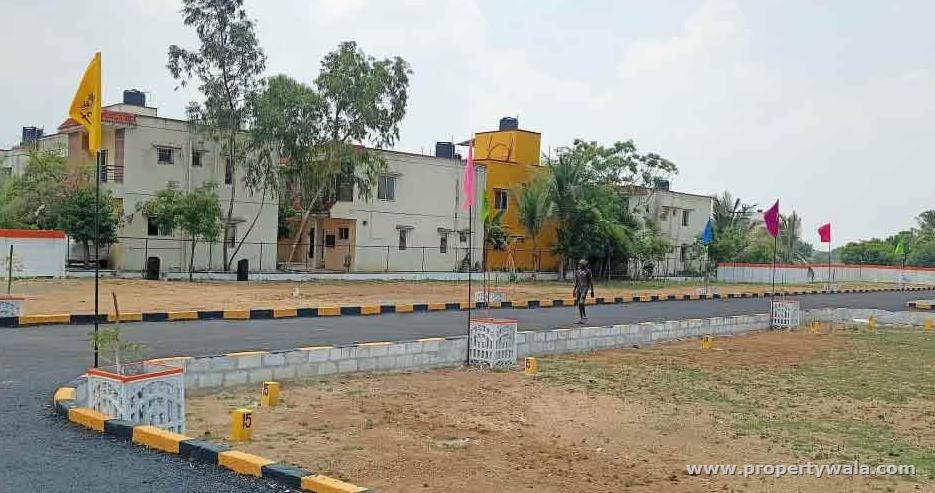 Inside Road View A