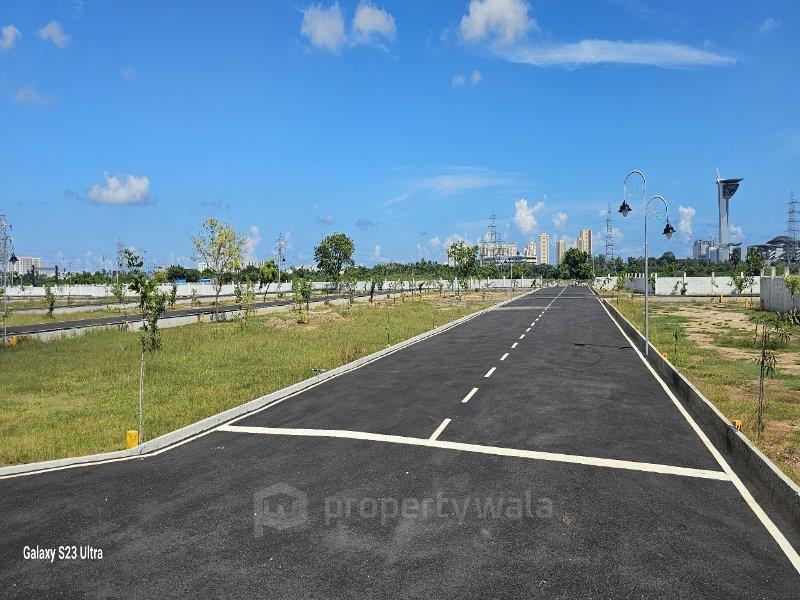 Road View