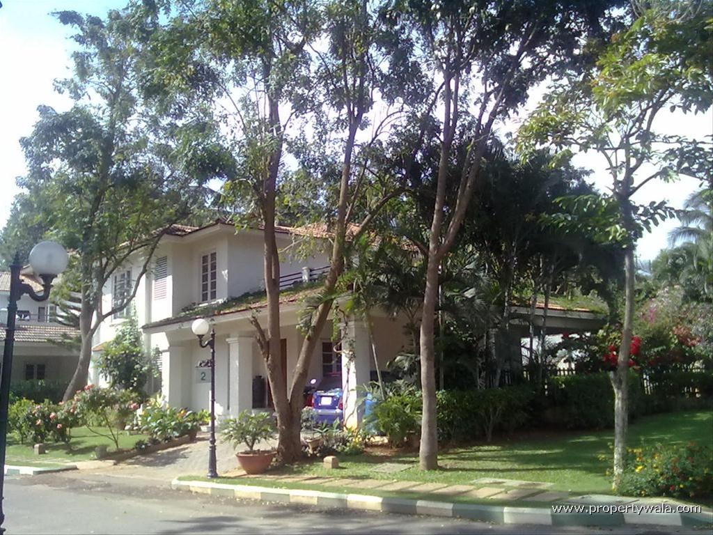 Side View-2