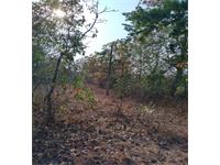 Residential Plot / Land for sale in Galgibaga beach, South Goa