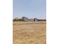 Residential Plot / Land for sale in Jajru, Faridabad