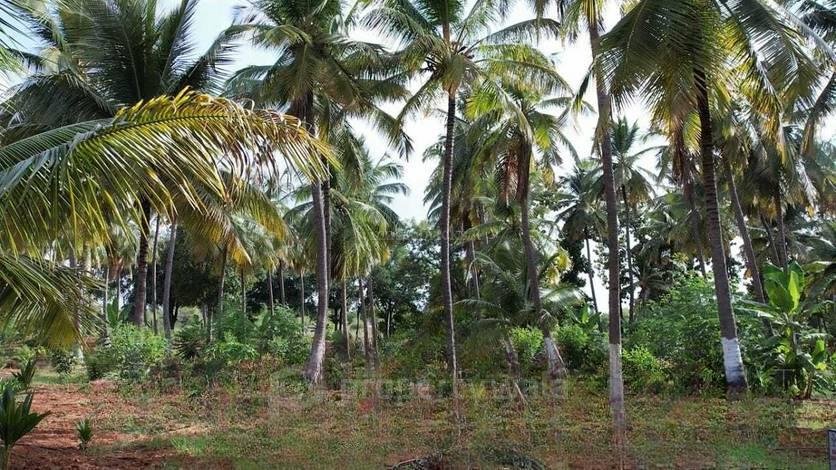 site view