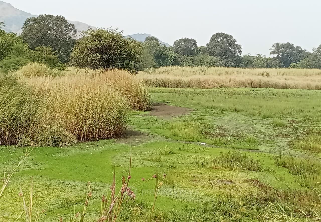 Panvel Plot For Sale