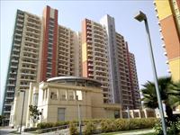 2 BHK Flat for Sale in BPTP The Resort in Sector 75 Faridabad