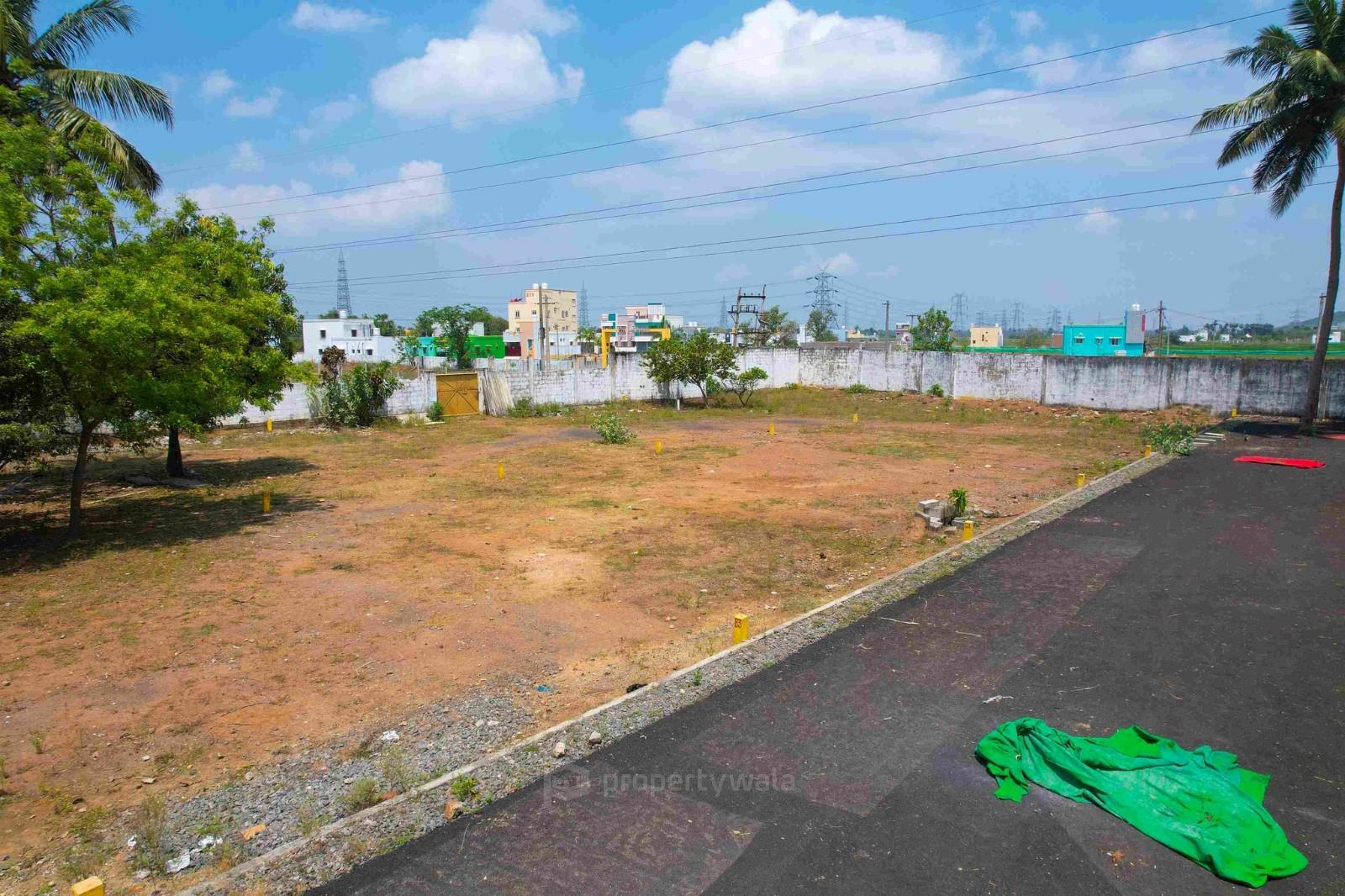 Plot photo