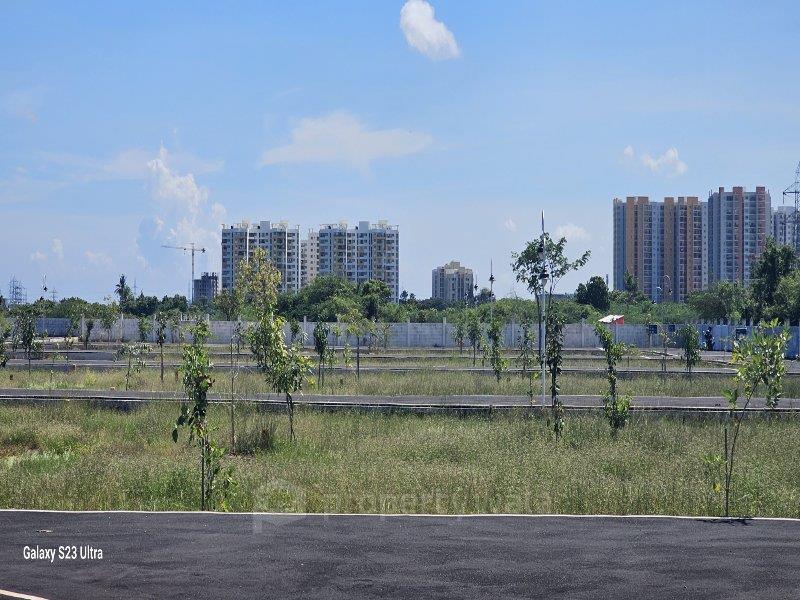 Plot View