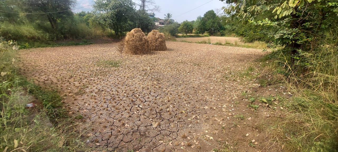 Palaspe Plot For Sale